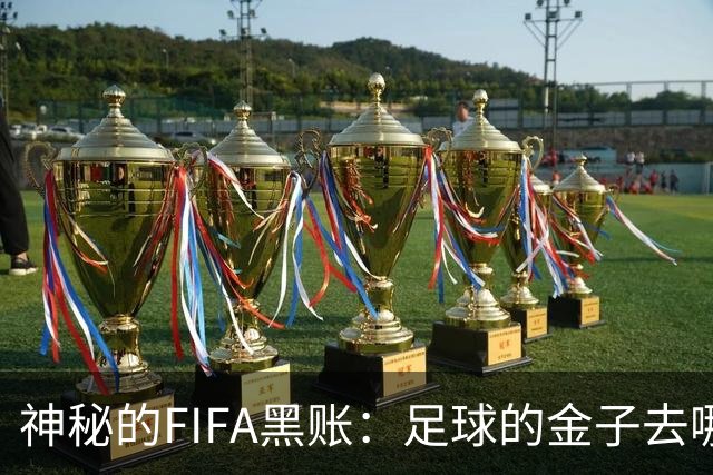 神秘的FIFA黑账：足球的金子去哪儿了？